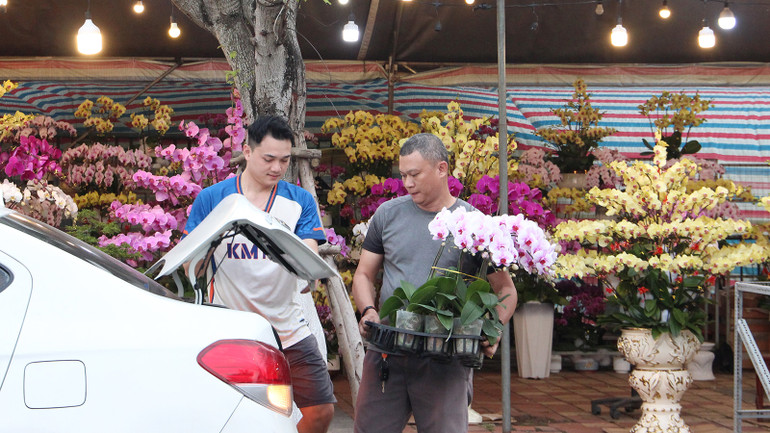 Chở xuân về nhà...