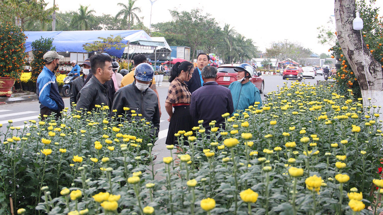 Cúc chậu luôn được chọn lựa mua nhiều