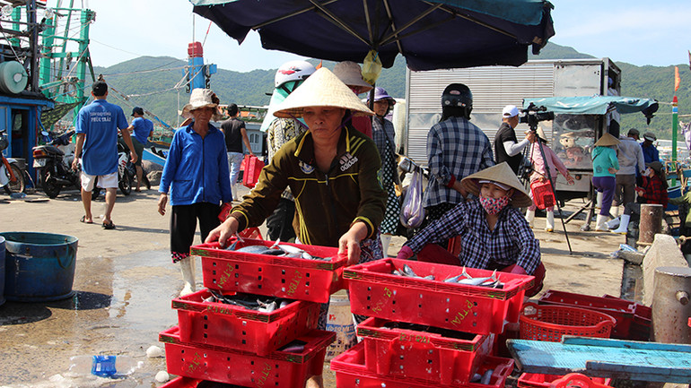 Các nghề thuần biển còn nhiều dư địa phát triển.