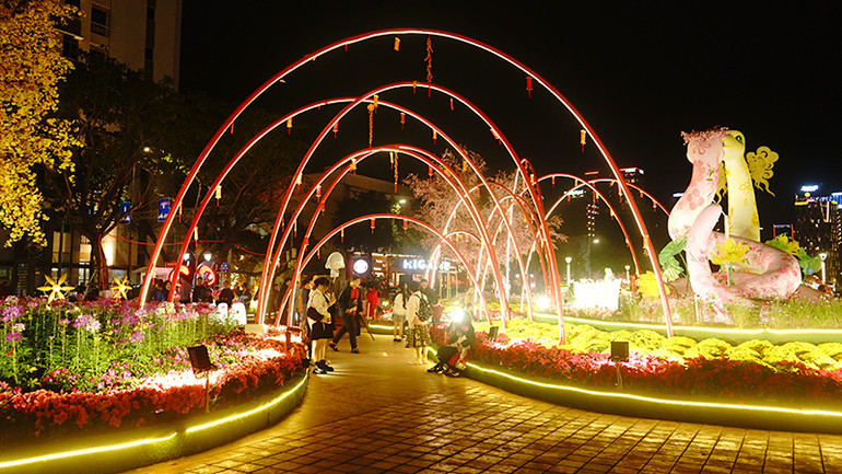 Đường hoa rực rỡ trong đêm.