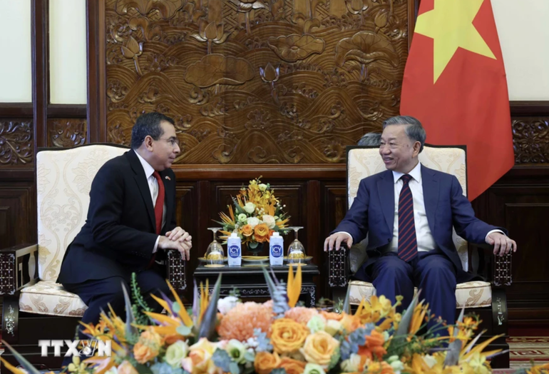 Chủ tịch nước Tô Lâm tiếp Đại sứ Panama Eligio Salas III. Ảnh: Nhan Sáng/TTXVN