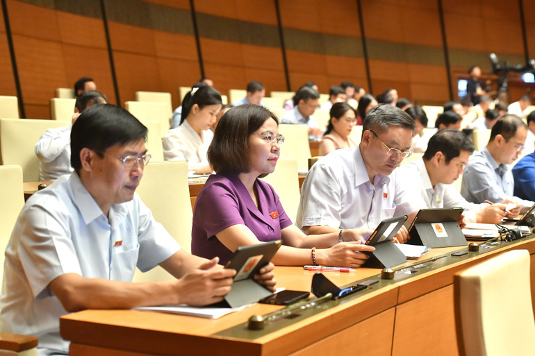 Các đại biểu Quốc hội làm việc tại hội trường.