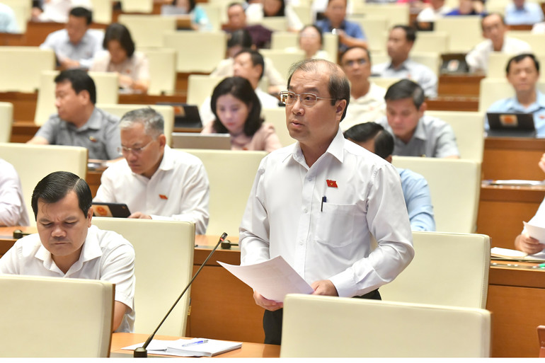 Đại biểu Quốc hội Trình Lam Sinh (An Giang) phát biểu ý kiến thảo luận tại hội trường.