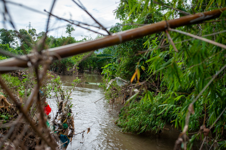 Do ảnh hưởng của mưa gió, cây cối hai bên bờ đất ngã xuống phủ lấy mặt kênh.