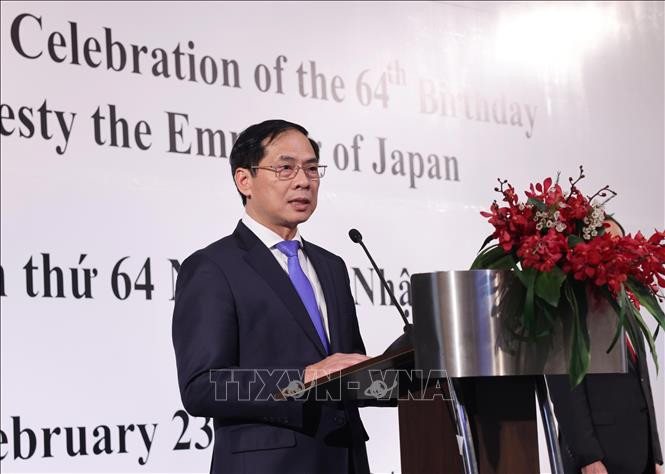 Bộ trưởng Ngoại giao Bùi Thanh Sơn phát biểu. Ảnh: TTXVN Bộ trưởng Ngoại giao Bùi Thanh Sơn phát biểu. Ảnh: TTXVN