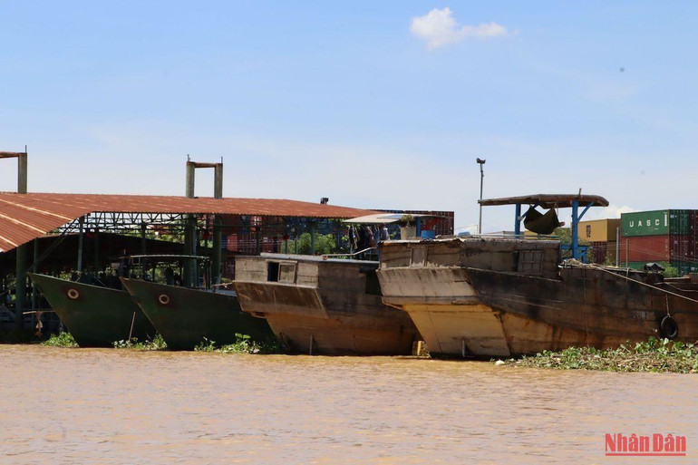 Các thuyền chở quá tải trọng trên sông Đồng Nai bị tạm giữ.