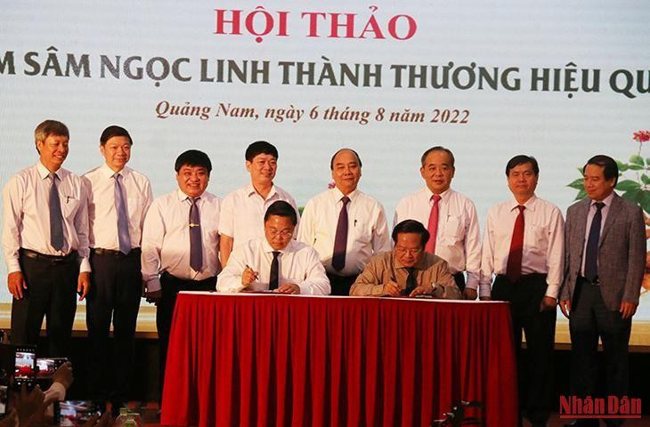 Ký kết hợp tác giữa hai tỉnh Quảng Nam và Kon Tum về nâng tầm sâm Ngọc Linh thành thương hiệu quốc gia.