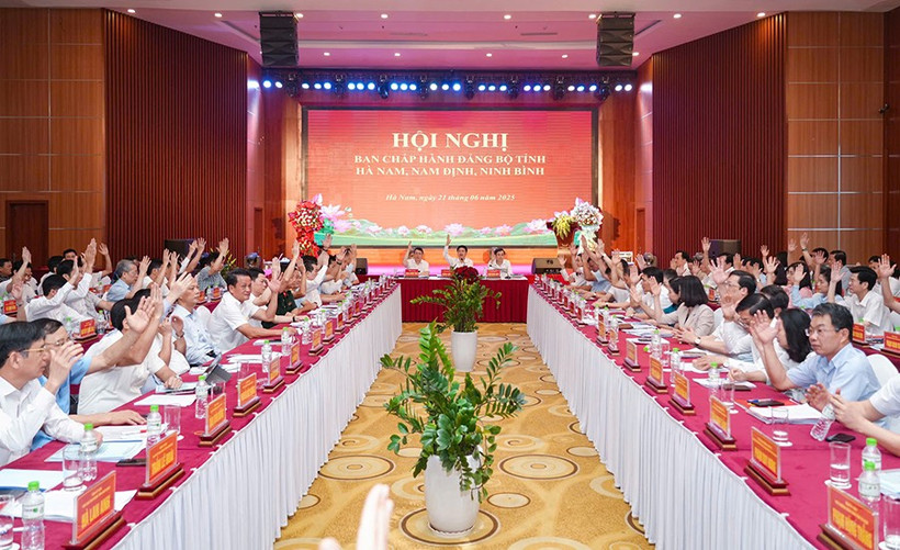 Các đại biểu biểu quyết tại hội nghị.
