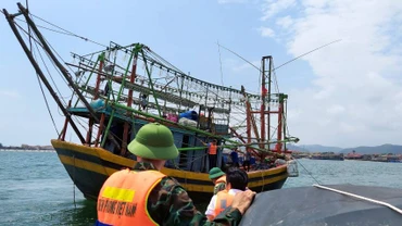 Bộ đội Biên phòng Quảng Bình kiểm tra tàu cá trước khi ra khơi trên cửa sông Gianh.
