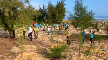 Trồng cây đầu xuân tại thành phố Đồng Hới, tỉnh Quảng Bình.
