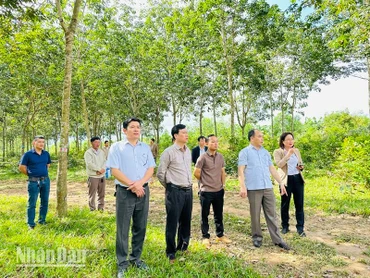 Lãnh đạo huyện Krông Pắc kiểm tra, giám sát các đơn vị thi công giải phóng mặt bằng thông tuyến cao tốc Khánh Hòa-Buôn Ma Thuột đoạn qua địa bàn huyện.