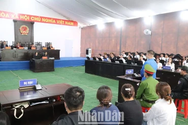Hội đồng xét xử thẩm vấn, xét xử các bị cáo tại phiên tòa.