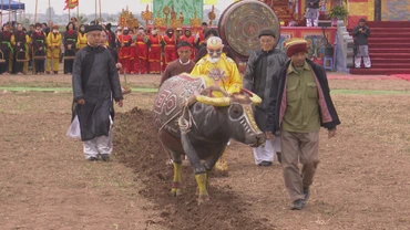 Một lão nông địa phương thực hiện nghi lễ nhập linh khí quân vương cày Tịch điền tại Lễ hội.
