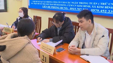 Người lao động tham gia phỏng vấn tìm việc làm trực tiếp với đại diện các công ty tại phiên giao dịch việc làm.