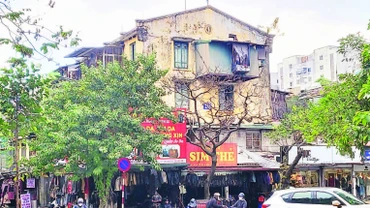 Thành phố Hà Nội quy hoạch cải tạo, xây dựng lại khu Kim Liên gắn với tái thiết, chỉnh trang đô thị.