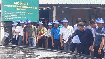 Giám đốc Trung tâm Khuyến nông quốc gia Lê Quốc Thanh thăm mô hình nuôi tôm tại Hà Tĩnh.