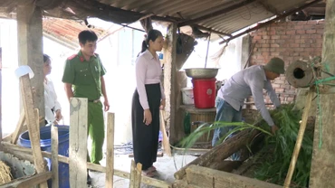 Một người lầm lỗi chăm sóc đàn vật nuôi từ nguồn vốn vay của nhà nước. 