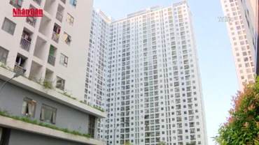 [Video] Đề nghị không mở rộng đối tượng được bố trí nhà ở xã hội là các “chuyên gia”