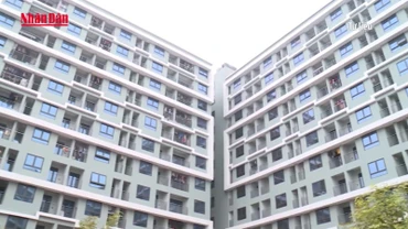 Cần xử lý nghiêm tình trạng “lót tay” mua nhà ở xã hội