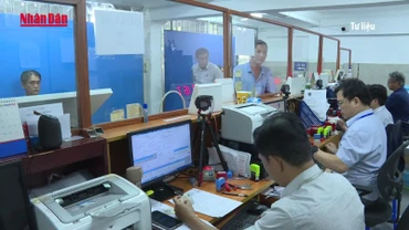 [Video] Thành phố Hồ Chí Minh: Thuận lợi khi sang tên, đổi biển số xe qua ứng dụng VNeID