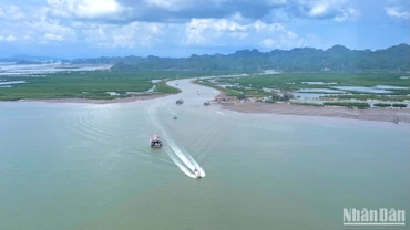 Cộng đồng chung tay góp phần bảo vệ màu xanh của biển. 