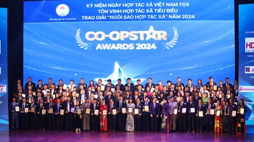 100 Hợp tác xã tiêu biểu được vinh danh tại buổi lễ.