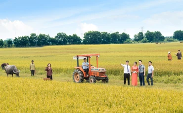 LPBank có mạng lưới trải dài khắp 63 tỉnh, thành phố với hơn 1.200 điểm giao dịch.