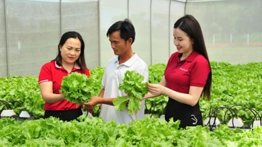 Từ nguồn vốn vay của Agribank, nhiều cá nhân, hộ gia đình đã phát triển hiệu quả mô hình sản xuất kinh doanh, thoát nghèo và vươn lên làm giàu.