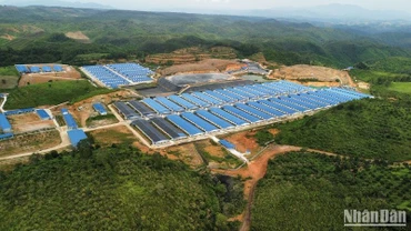 Công ty TNHH Chăn nuôi Quảng Sơn bị xử phạt hành chính 110 triệu đồng vì đã vi phạm các quy định về xả nước thải ra môi trường.