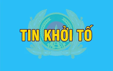 Khởi tố đối tượng xâm phạm lợi ích của Nhà nước