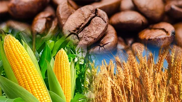 Nông sản dẫn dắt xu hướng thị trường hàng hóa