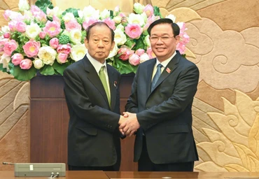 Chủ tịch Quốc hội Vương Đình Huệ và Chủ tịch Liên minh Nghị sĩ hữu nghị Nhật Việt Nikai Toshihiro tại buổi tiếp.