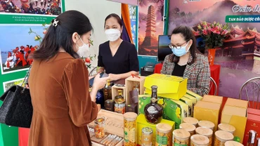 Nhiều sản phẩm du lịch mới của Tam Đảo được giới thiệu cho du khách.