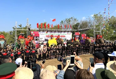 Những chú voi tham gia Hội voi Buôn Đôn năm 2023.