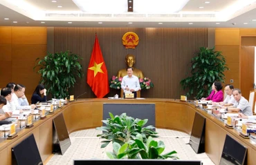 Phó Thủ tướng Lê Minh Khái chủ trì cuộc họp. (Ảnh: VGP)