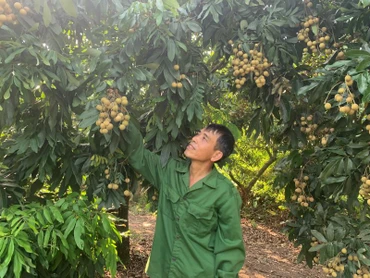 Chính sách tín dụng đóng góp quan trọng trong công cuộc giảm nghèo, bảo đảm an sinh xã hội ở tỉnh Hưng Yên