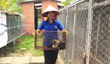 Phan Lê Thúy Vi khoe cặp chồn hương sinh sản. 