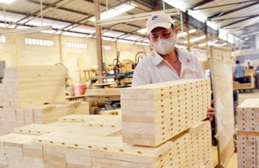 Xuất khẩu gỗ đang gặp nhiều khó khăn.