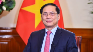 Bộ trưởng Ngoại giao Bùi Thanh Sơn. (Ảnh: Bộ Ngoại giao) 