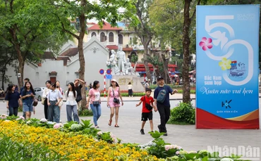 (Ảnh: HỮU TOÀN)