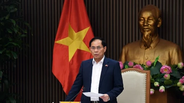 Phó Thủ tướng, Bộ trưởng Ngoại giao Bùi Thanh Sơn phát biểu chỉ đạo tại buổi họp. (Ảnh: VGP)