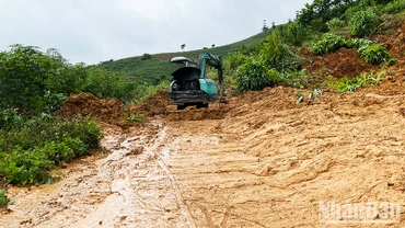 (Ảnh minh họa)