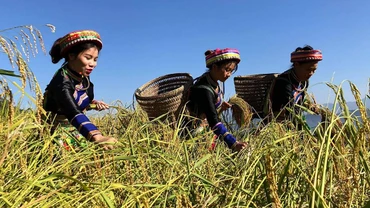 Mở rộng thị trường tiêu thụ sản phẩm OCOP 