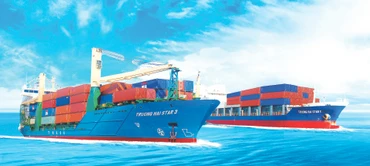 Đội tàu biển Việt Nam vẫn chủ yếu vận tải nội địa, trọng tải nhỏ.
