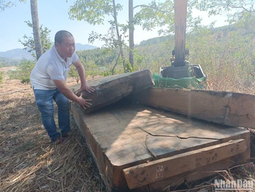 Nhiều phản gỗ có kích thước lớn được tìm thấy tại điểm tập kết đầu tiên.