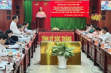 Đồng chí Đinh Công Sỹ, Phó Chủ nhiệm Ủy ban Văn hóa, Giáo dục của Quốc hội phát biểu tại buổi giám sát. 