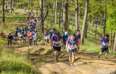 Các vận động viên tham gia giải Dalat Ultra Trail lần thứ 4. 