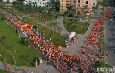 Hàng nghìn người tham gia Giải chạy Happy Run tại thành phố Đà Nẵng.