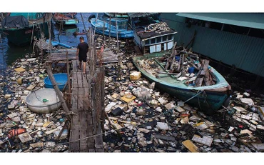 Thực trạng ô nhiễm rác thải nhựa tại bến tàu công viên Bạch Đằng. Ảnh: WWF - VietNam