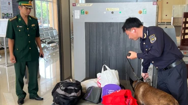 Lực lượng Hải quan tăng cường kiểm tra, kiểm soát hàng hoá tại các cửa khẩu. (Ảnh: MINH PHƯƠNG)